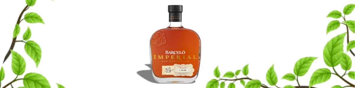 Imagen publicitaria principal