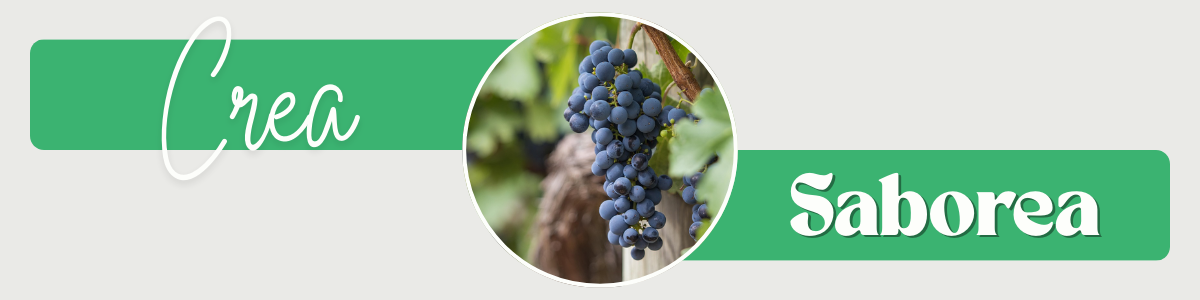 Imagen publicitaria principal